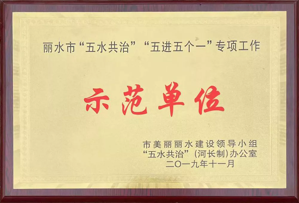 Demonstration unit for the special work of "five water co-governance" and "five inputs and five ones" in Lishui City